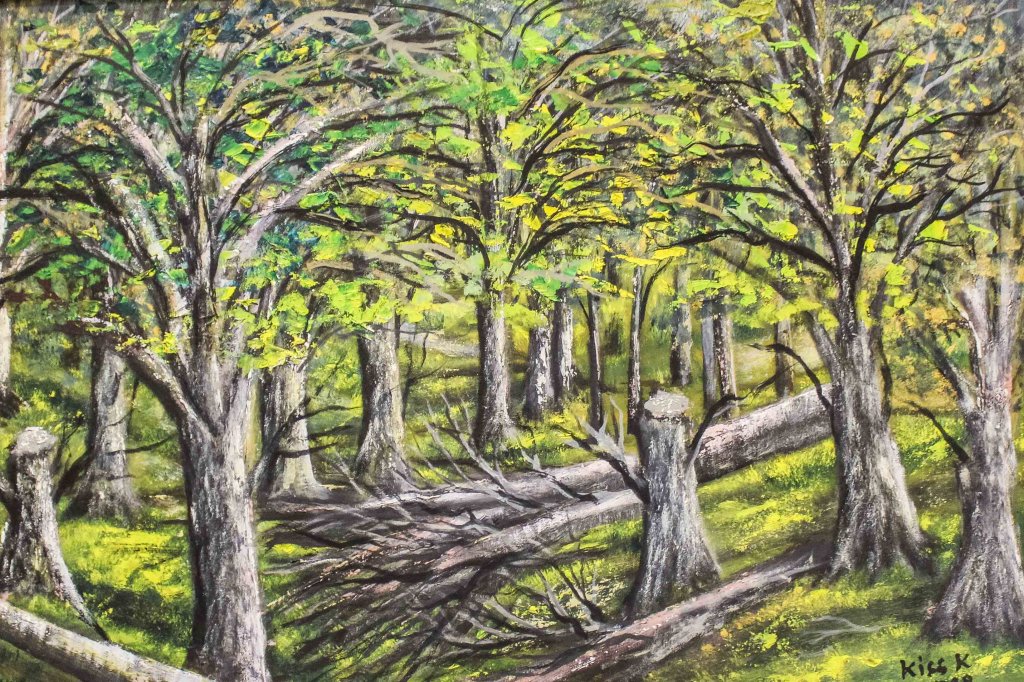 Hazai tájakon... 41